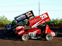 DSC_0466.NEF00230119